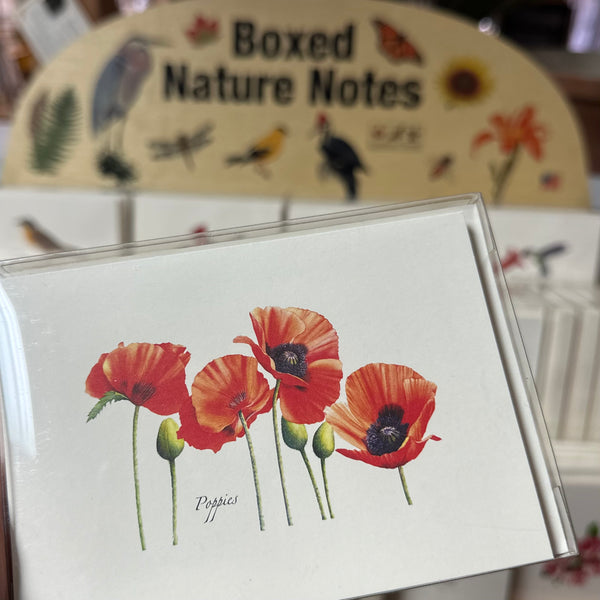 Earth Sky + Water Note Cards - Assorted