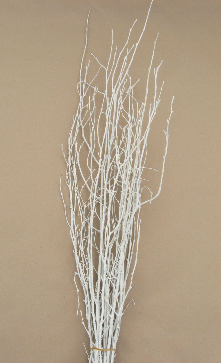 Birch Tips Painted White Small – Lichen or Knot Plant Company LLC