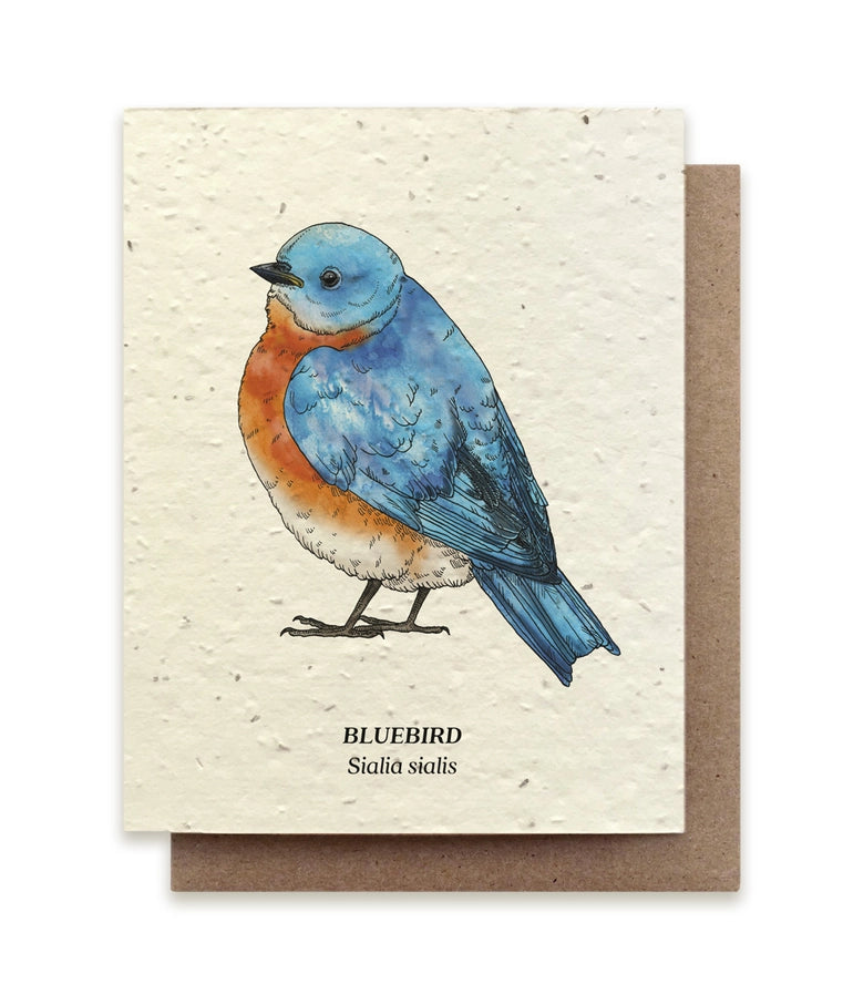 Plantable Seeded Greeting Cards