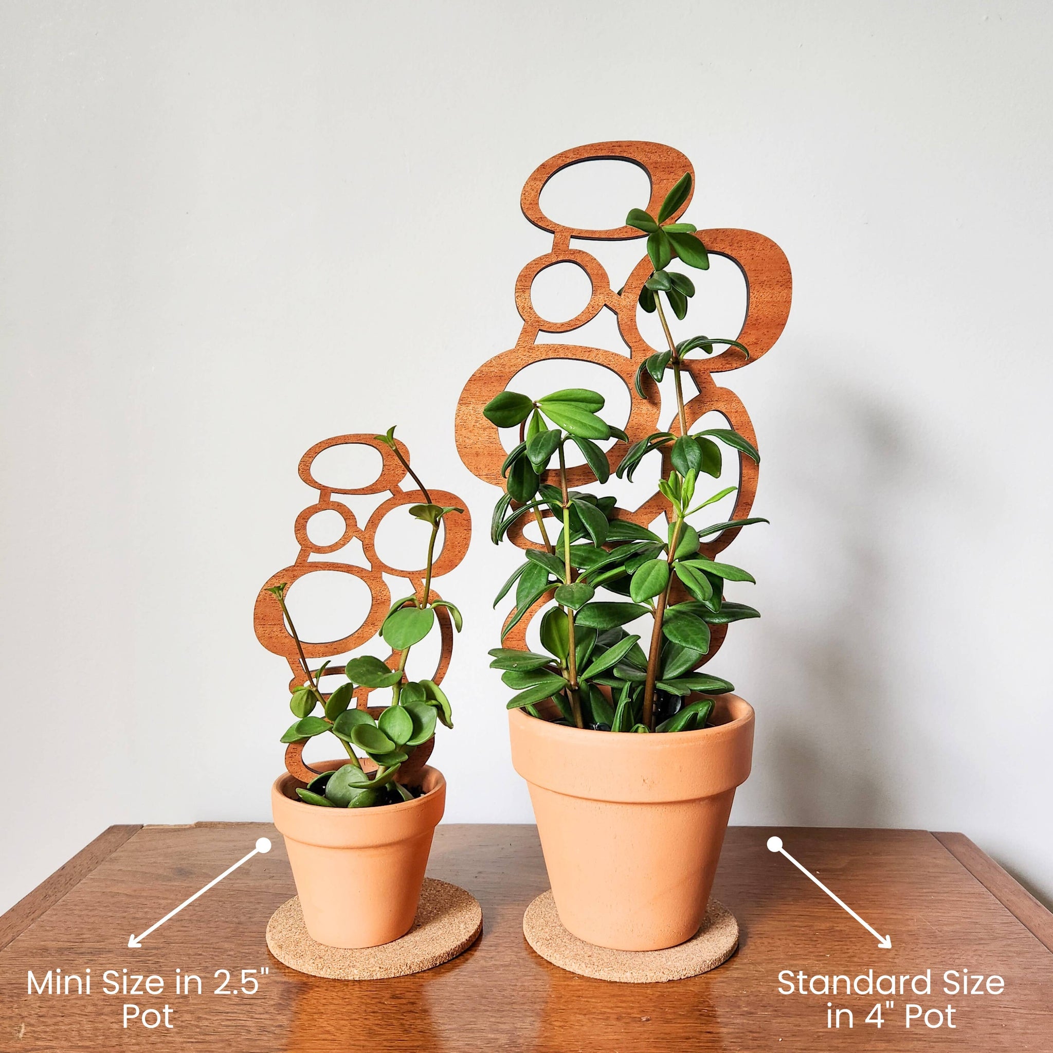 Mid-Century Indoor Plant Trellis (2 Sizes)