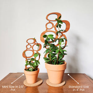 Mid-Century Indoor Plant Trellis (2 Sizes)