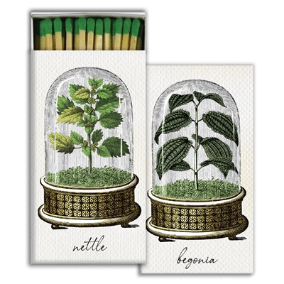 Matchbox Matches