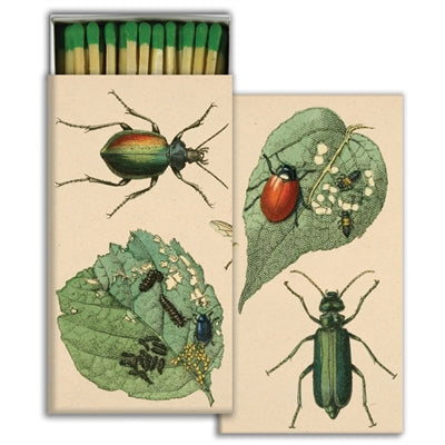 Matchbox Matches