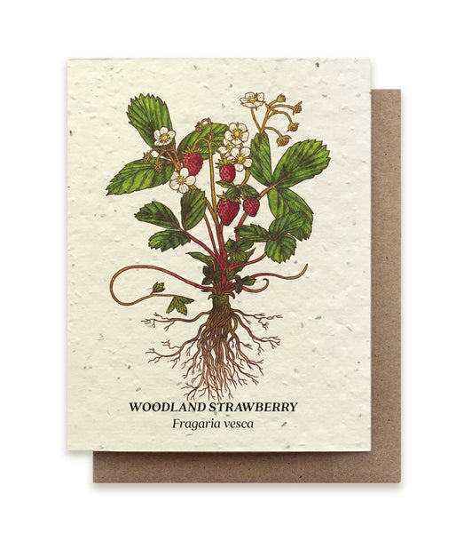 Plantable Seeded Greeting Cards