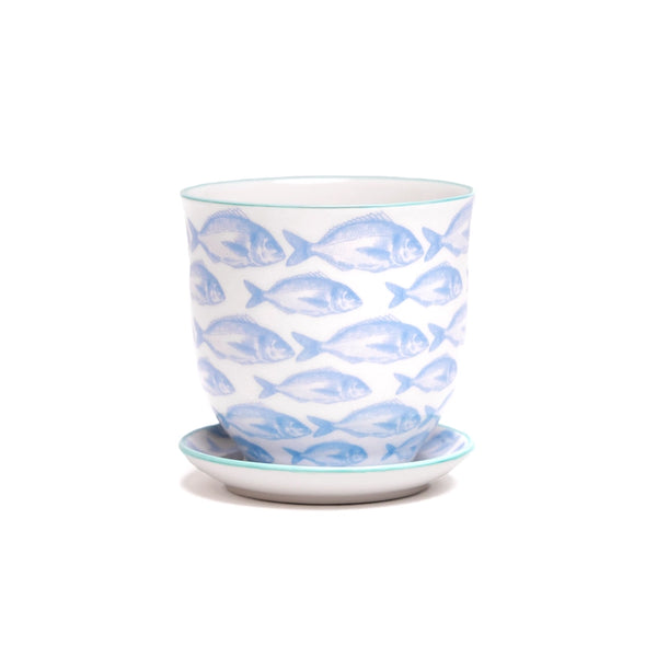 Liberte Indoor Pots  |  4.25" |  Various Styles