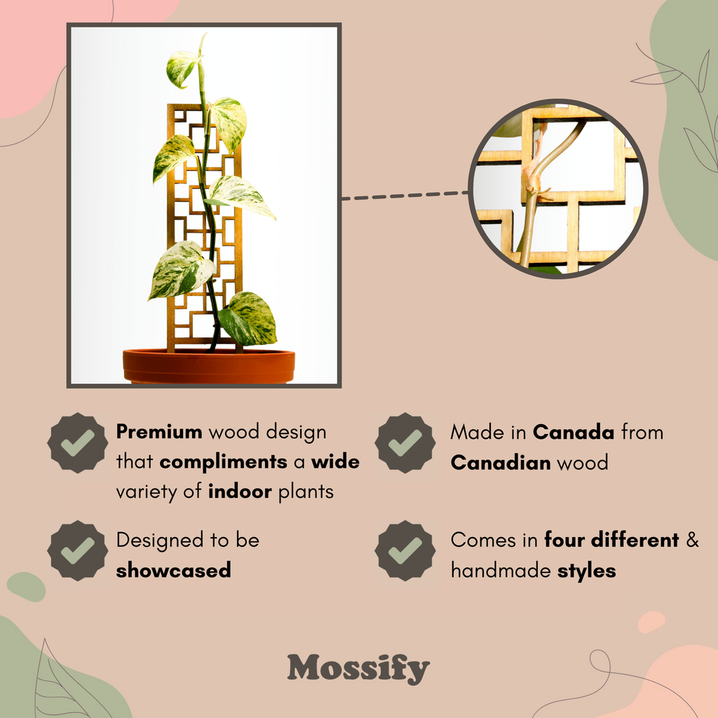 wooden trellis canada Tropical Squares Wooden Trellis