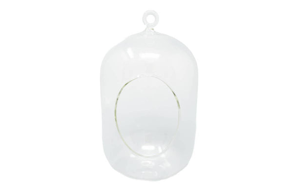 Capsule Terrarium