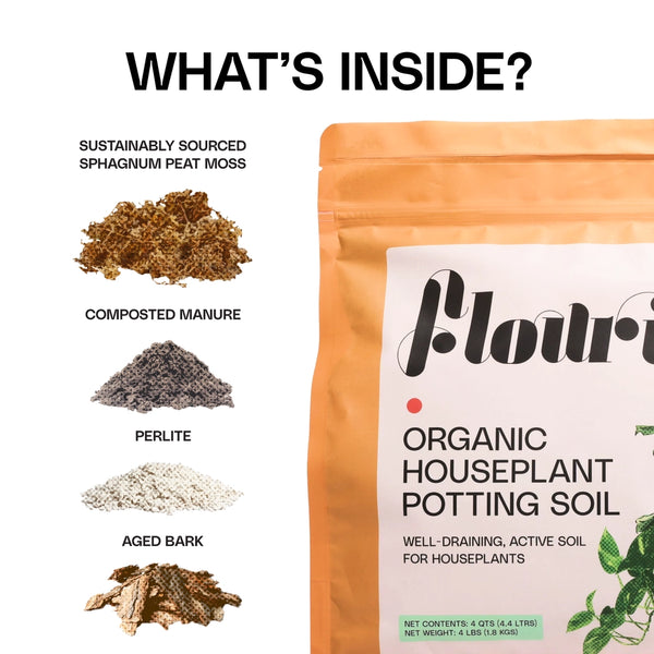 Organic Houseplant Potting Soil Resealable Bag (4 Qt)