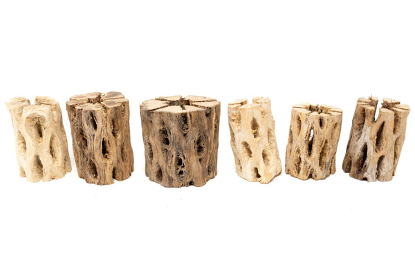 Natural Cholla Wood Container - 3"