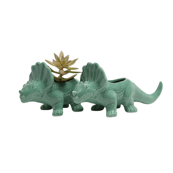 Dinosaur - Ceramic Pots