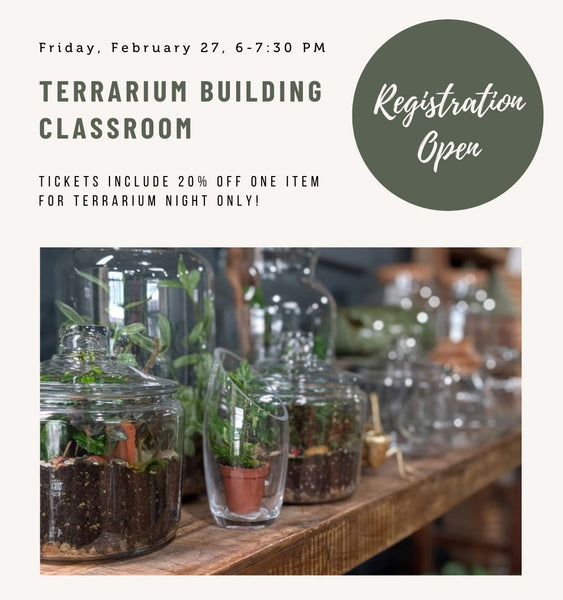 Terrarium Building Classroom  |  February 27, 2026