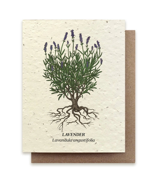 Plantable Seeded Greeting Cards