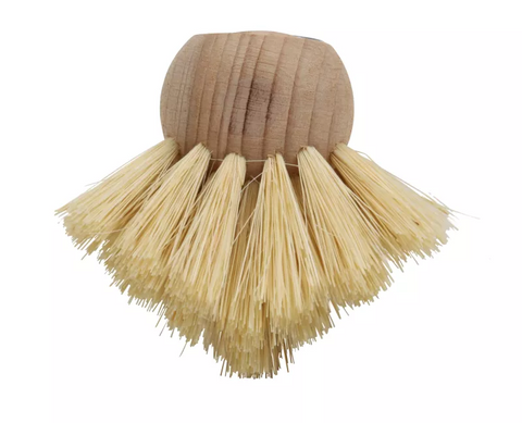 Shower and Tub Scrubber