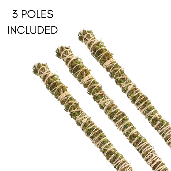 Bendable Moss Pole, 16", 3 pack