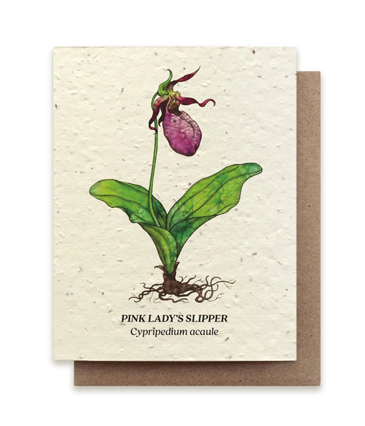 Plantable Seeded Greeting Cards