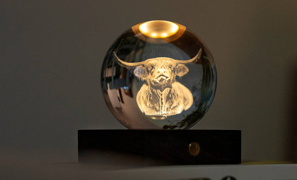 Amber Crystal Light - Nature & Wild Life Collection