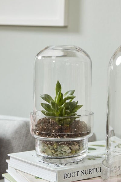Griffith Terrarium