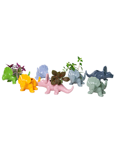 Dinosaur - Ceramic Pots