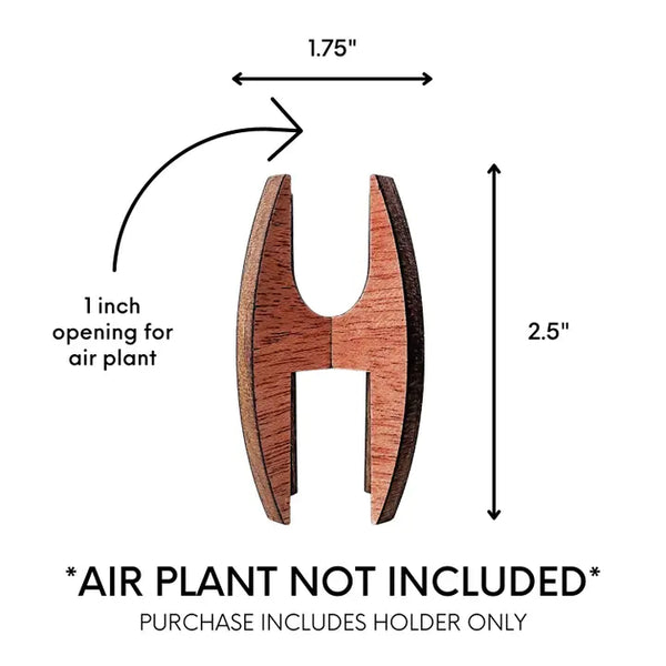 air plant stand holder Rounded Wooden Air Plant Display Stand – Lichen or Knot Plant Company LLC