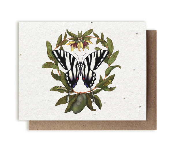 Plantable Seeded Greeting Cards