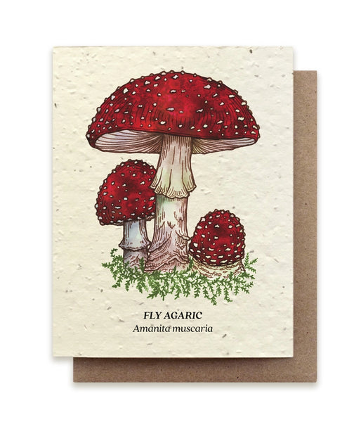 Plantable Seeded Greeting Cards