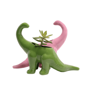 Dinosaur - Ceramic Pots