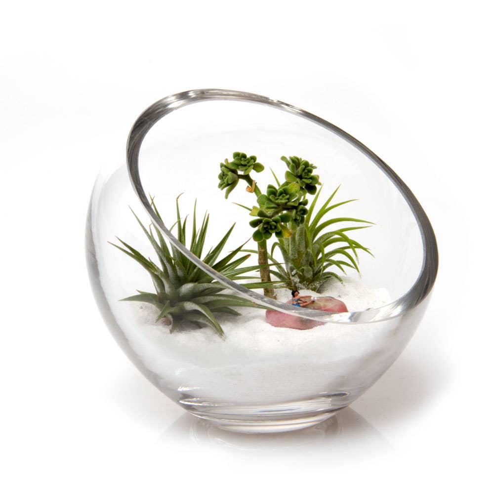 Glass Terrarium Bowls - Asst. Sizes