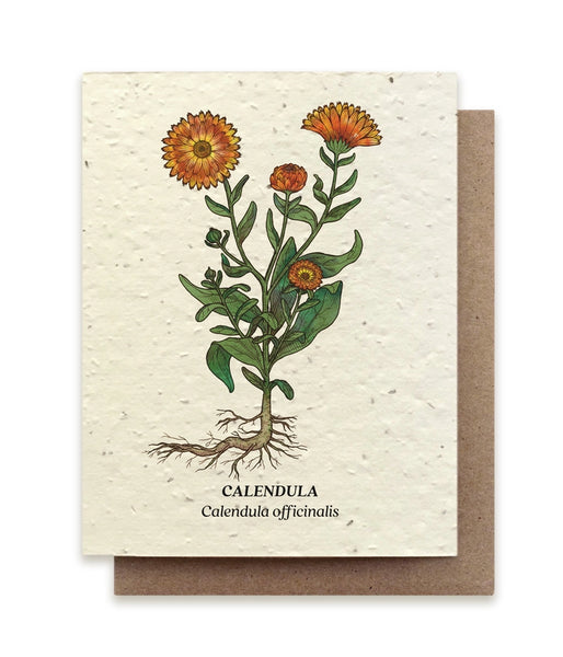 Plantable Seeded Greeting Cards