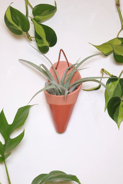 Medium Ceramic Cone - Terracotta
