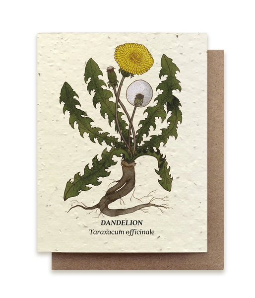 Plantable Seeded Greeting Cards