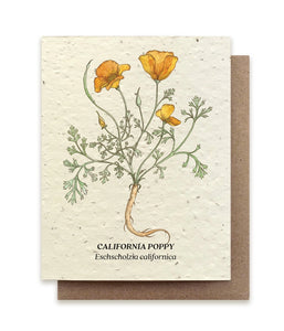 Plantable Seeded Greeting Cards