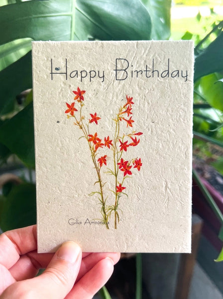 Plantable Seed Cards | Wildflower Seeds