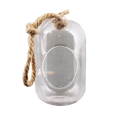 Sole Hanging Terrarium