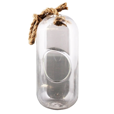 Sole Hanging Terrarium