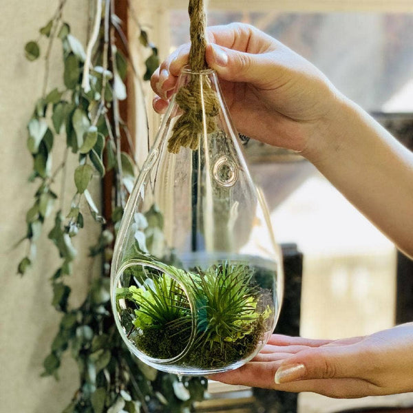 Rope Hanging Glass Drop Vase