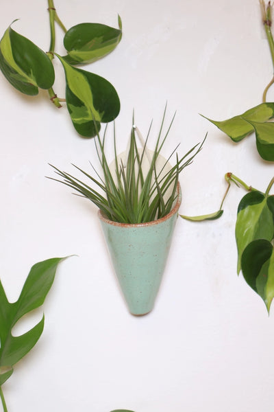 Medium Ceramic Cone - Pistachio