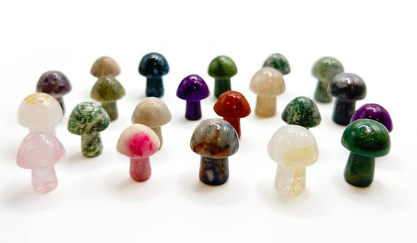 Mini Stone Mushrooms