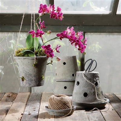 Rustic Terra Cotta Orchid Pot - Moss Grey