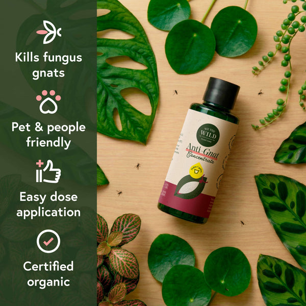 Pest & Shine Kit