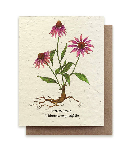 Plantable Seeded Greeting Cards