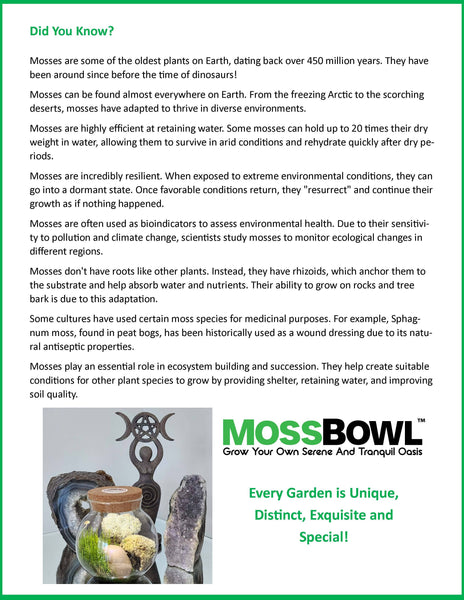 MossBowl Glass Terrarium with Live Moss and LED Light