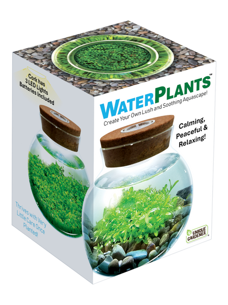 WaterPlants Aquatic Seed Kit Glass Terrarium with LED Light