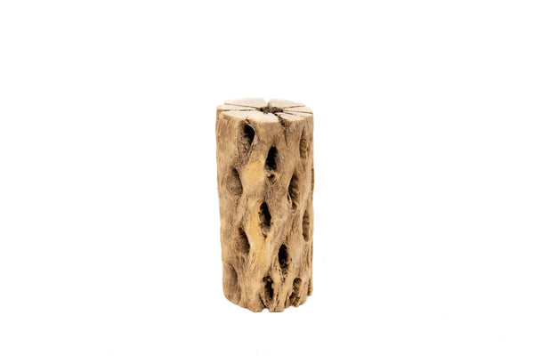 Natural Cholla Wood Container - 3"