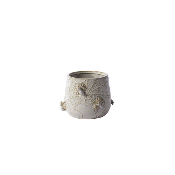 House Spider Pot
