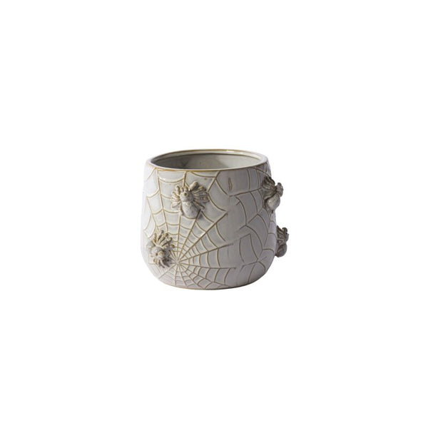 House Spider Pot