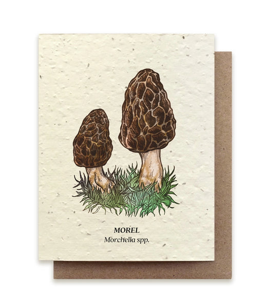 Plantable Seeded Greeting Cards