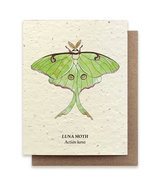 Plantable Seeded Greeting Cards