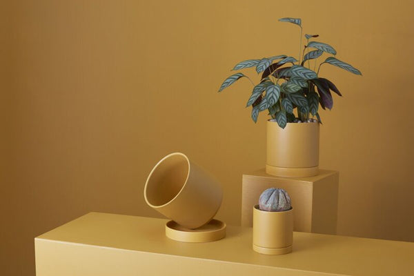 Romey Pot | 4"