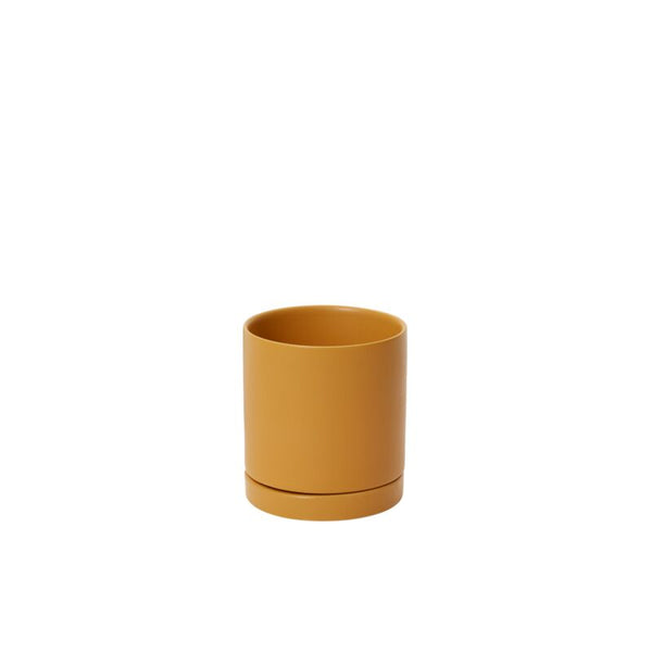 Romey Pot | 4"