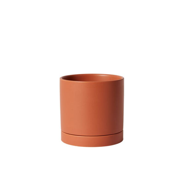 Romey Pot | 7"